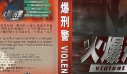 《火爆刑警》在线观看,在线追凶，正义之光闪耀